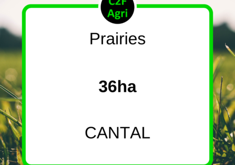 Prairies – 36 ha – Réf. : 2217CJC