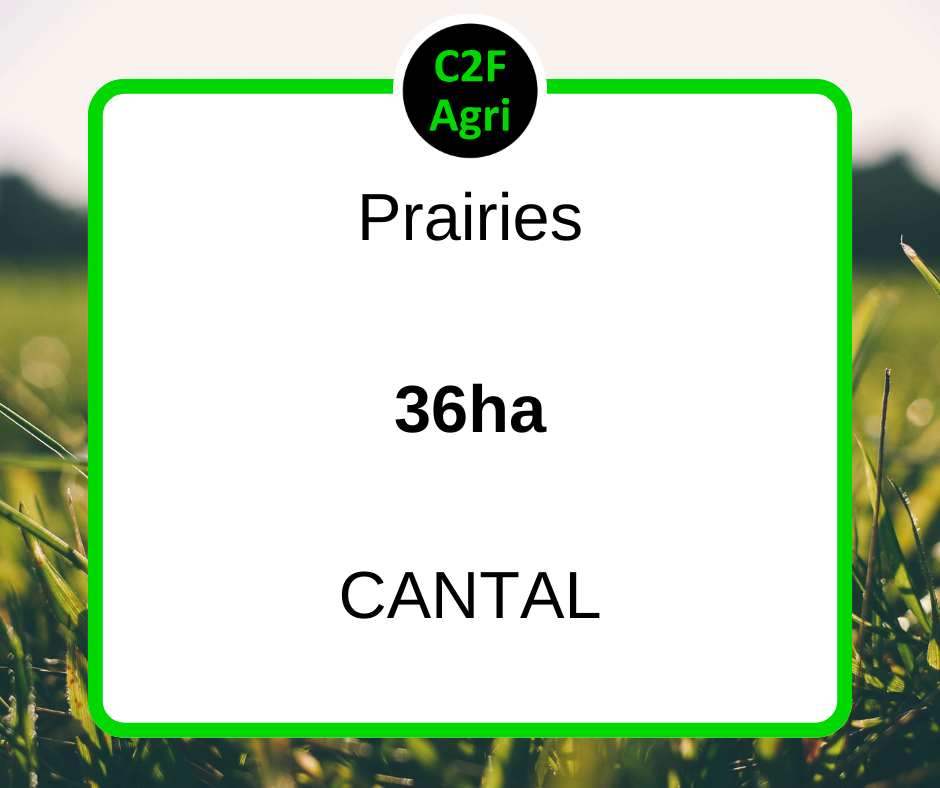 Prairies – 36 ha – Réf. : 2217CJC